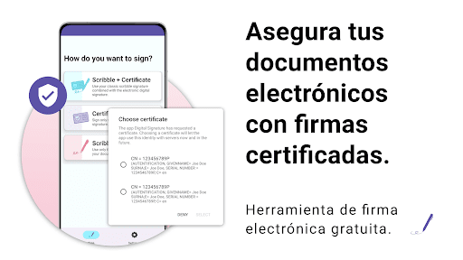 Vista previa de la aplicación