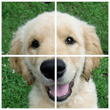 Dogs Puzzle icon