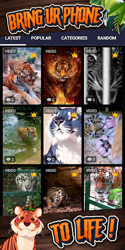 tiger background Screenshot 2 - AppWisp.com
