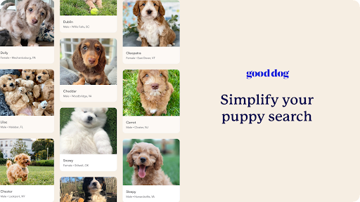 Good Dog: Find Your New Puppy screenshot