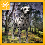 Dalmatian Survival Simulator icon