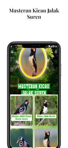 Android application Masteran Kicau Jalak Suren screenshort