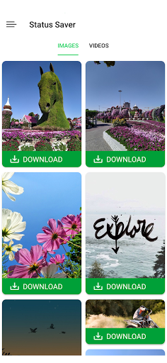 Status Story  Download and Save Status WhatsApp