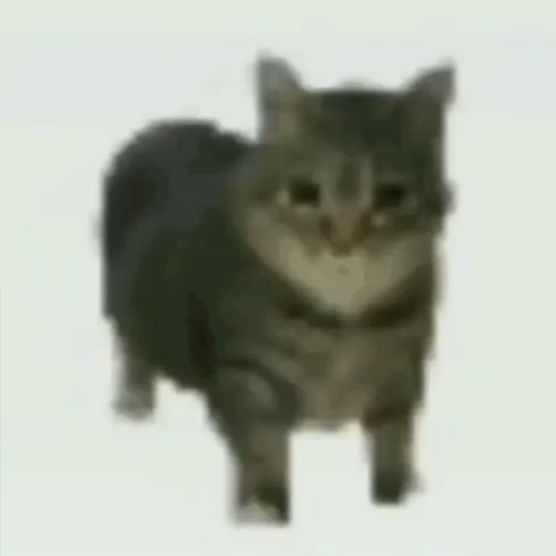 Spinning Cat Bounce: OIIA OIIA Download on Windows