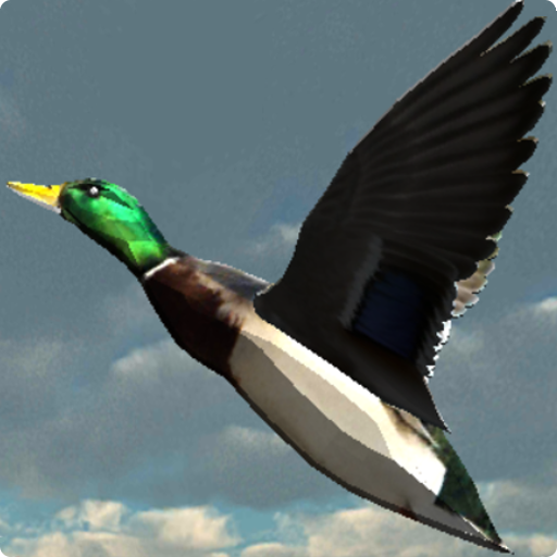 Duck Shoot VR 7.0 Icon