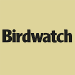 Cover Image of Unduh Birdwatch Magazine  APK