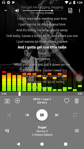 WinVibe Music Player Screen 3
