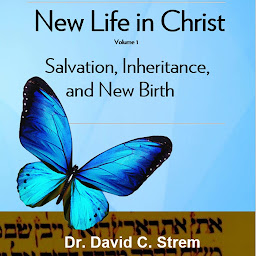 Obraz ikony: New Life in Christ, Volume 1: Salvation, Inheritance, and New Birth