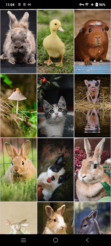 #6. Cute Wallpapers (Android) Podle: Infinity