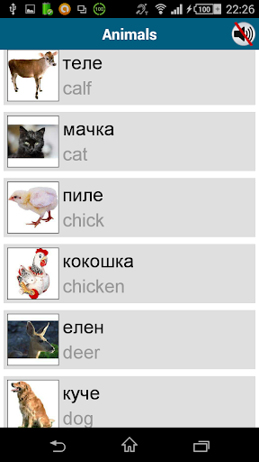 Screenshot of Learn Macedonian -50 languages