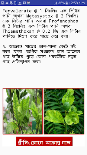 সাইট্রাস ডক্টর