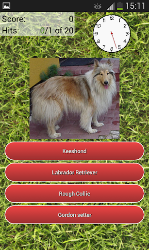 Dog Breeds Quiz Screen 2