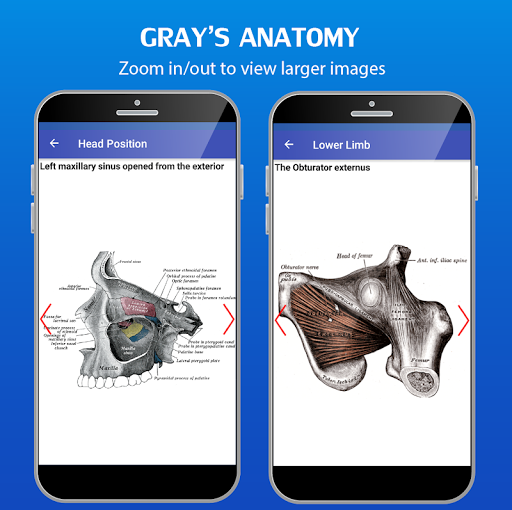 Grays Atlas of Anatomy Pro Screen 3