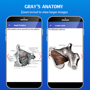 2023 Gray’ s Atlas of Anatomy Pro (No Ads) Best Apk Download 5