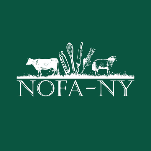 NOFANY's Winter Conference Apps on Google Play