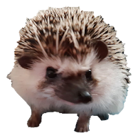 Filipek Jeż