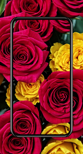 Android application Flowers Wallpaper screenshort