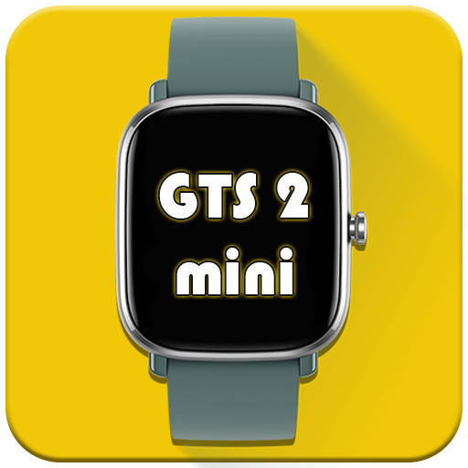 Amazfit GTS2 mini Watchfaces