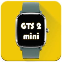 Amazfit GTS2 mini Watchfaces
