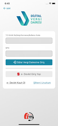 GİB Screen 2