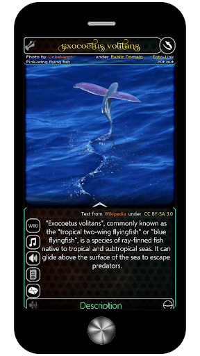 Android application Luxikon screenshort