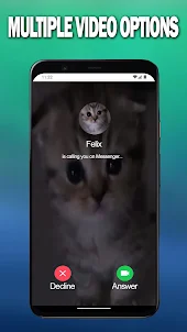 Cat Call You Fake Video Call