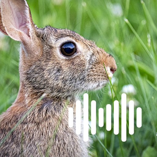 Rabbit & Hare Hunting Calls logo