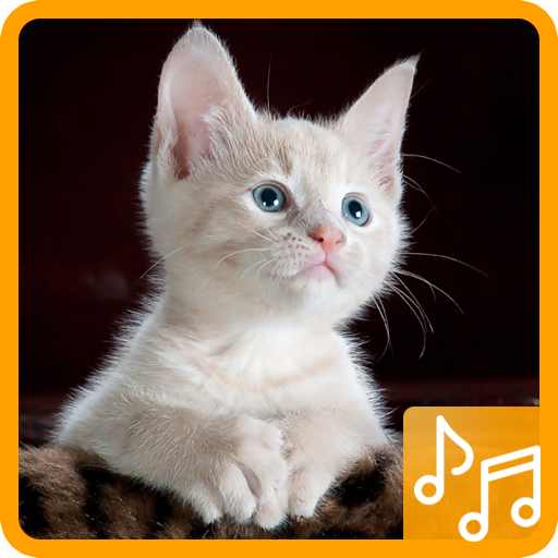 Cat Sound logo