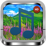 Nature Relaxing Music icon