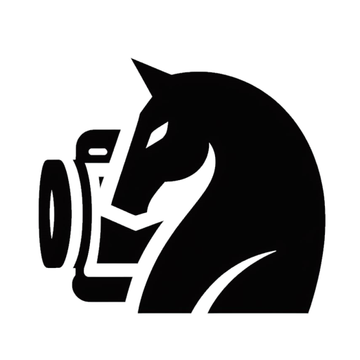 ChessCam logo