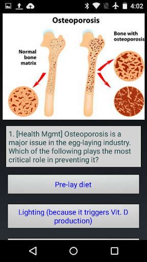 DVM 1st Yr Quiz - Health Mgmt. Screen 3