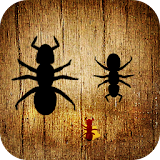 Ant Smasher Free For Kids icon
