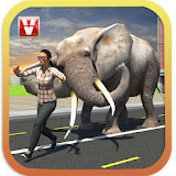 Elephant Racing Simulator 2016 icon