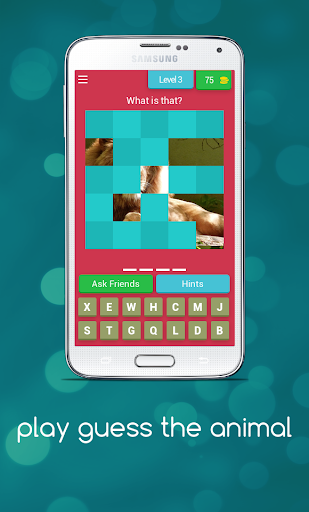 play guess the animal