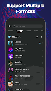 Pemutar Musik Offline: Putar MP3 MOD APK (Pro Tidak Terkunci) 2