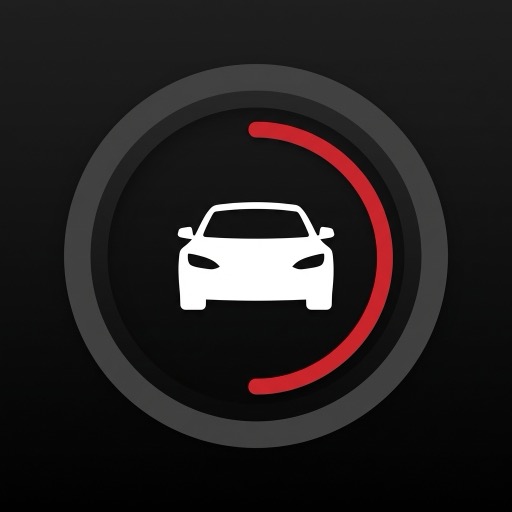Tesla DashCam Viewer icon