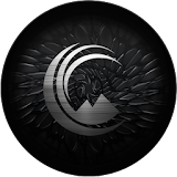 Crow Silver - Icon Pack icon