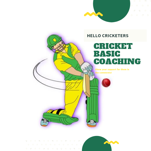 Cricket Basic Coaching logo