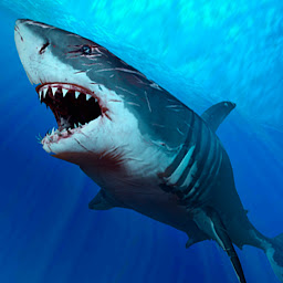 Imagen de icono Fondos de Tiburón