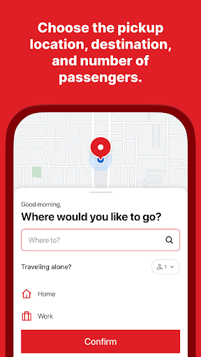 Screenshot of Metro Link - Kalamazoo