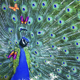 ਪ੍ਰਤੀਕ ਦਾ ਚਿੱਤਰ 3D Peacock Live Wallpaper 2024