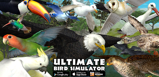 Ultimate Bird Simulator By Gluten Free Games Llc More Detailed Information Than App Store Google Play By Appgrooves Simulation Games 10 Similar Apps 2 844 Reviews - roblox bird simulator games