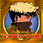 Book of Dead: Coin Quest