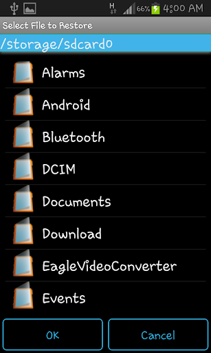 Eagle Video Converter Screen 2