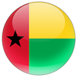 Icon image Guinea Bissau MICS