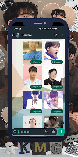 Mingyu Animated WASticker Screen 2