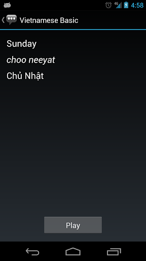 Vietnamese Basic Phrases Screen 3