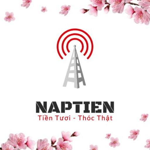 Naptien logo