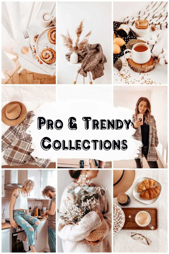 Pretty Presets for Lightroom Screen 3