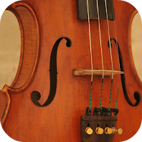 Violin Notes for Beginners